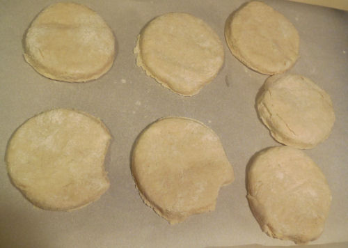 biscuit rounds