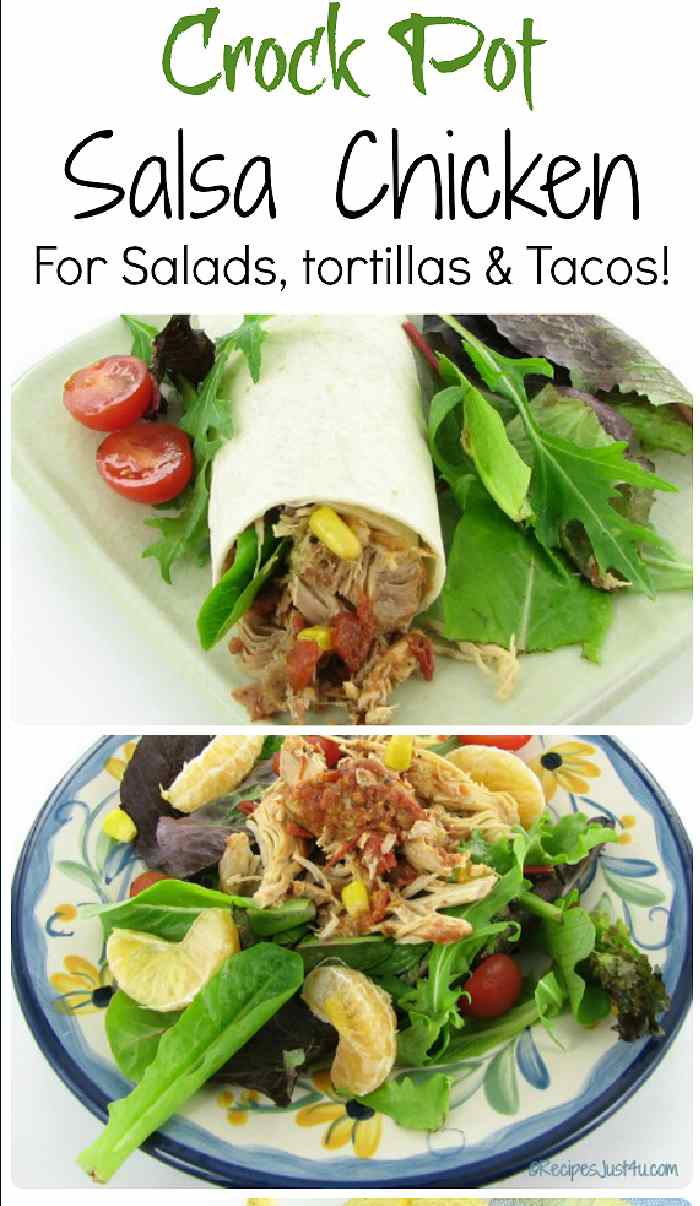 Soft taco wrap filled with salsa chicken and chicken salsa on a plate.