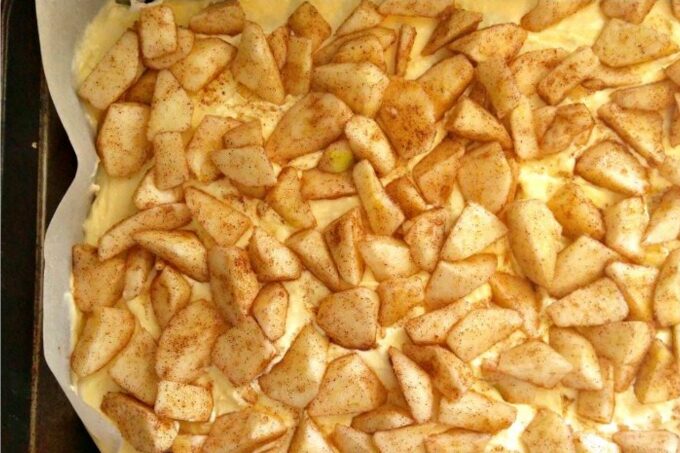 Apple layer A close up shot the spiced apple layer of a caramel apple bars recipe.