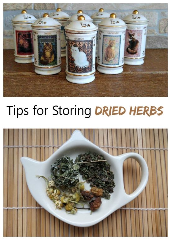 Storing Dried Herbs Tips for Success