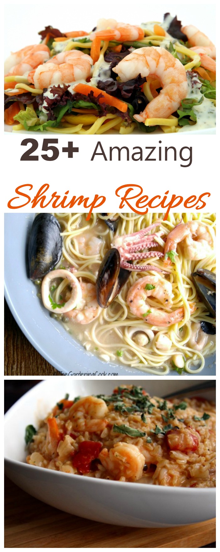 Shrimp is such a versatile seafood. It's fast, delicious and easy to prepare. Check out this collection of over 25 amazing shrimp recipes
