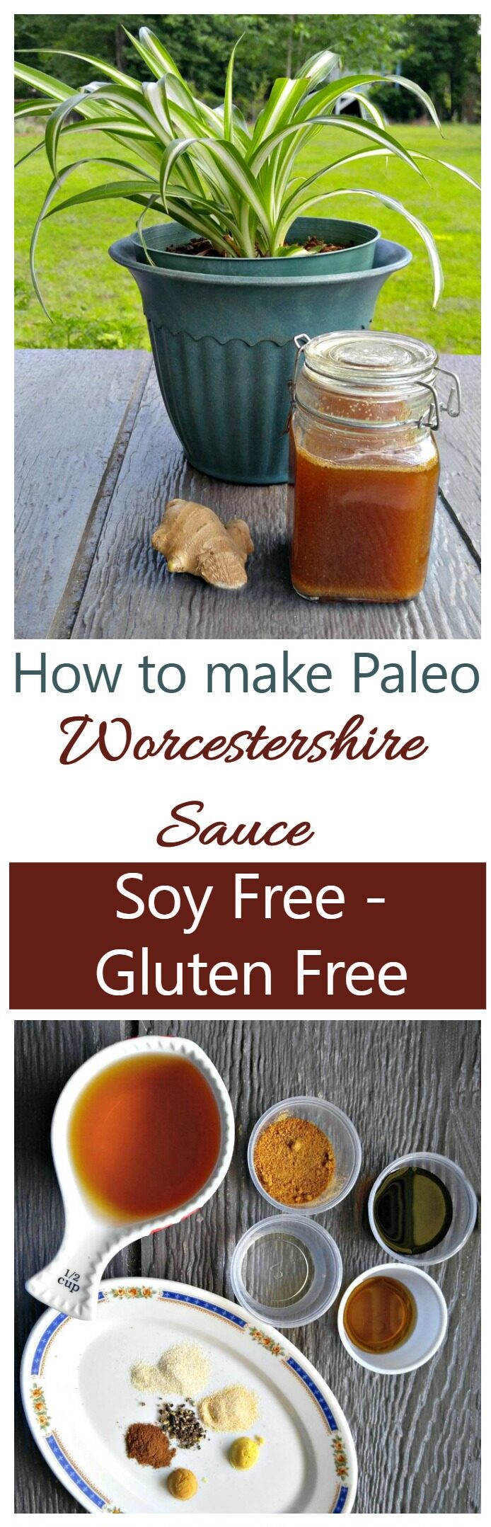 Picture of a Mason jar with soy-free Worcestershire sauce and spider plant above small jars of ingredients to make the sauce. Text reads How to make Paleo Worcestershire Sauce - soy-free | Gluten-free.