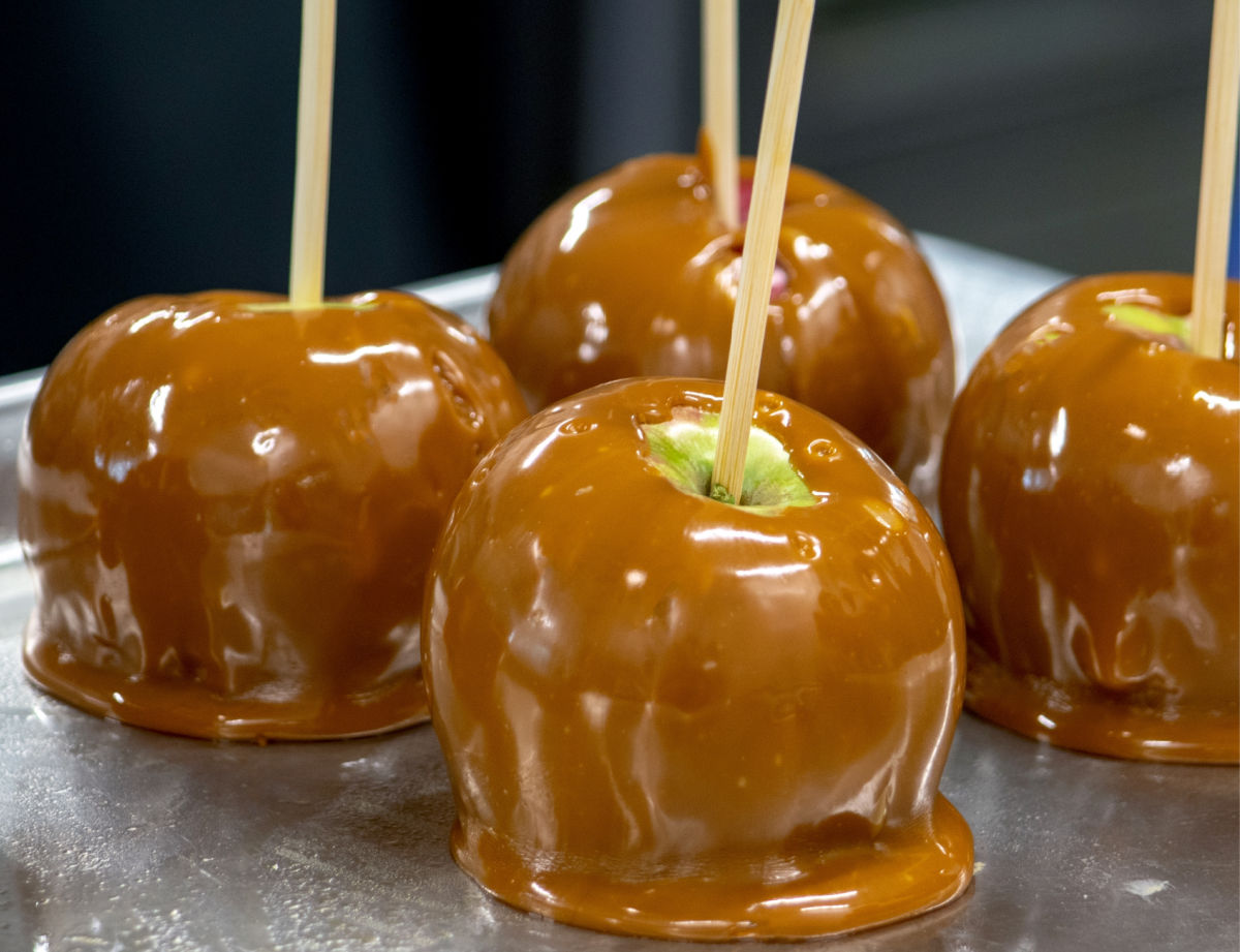 Four caramel apples with sticks on a silver pan.