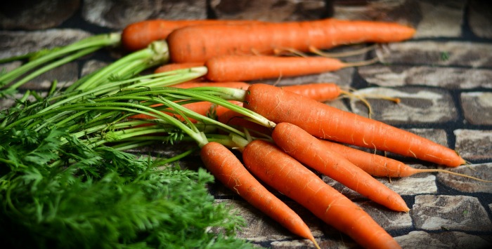 farm fresh carrots