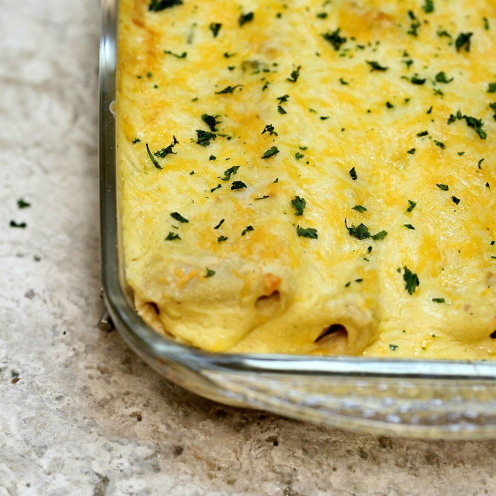 Creamy chicken enchiladas with sour cream sauce in a glass dish with fresh cilantro.