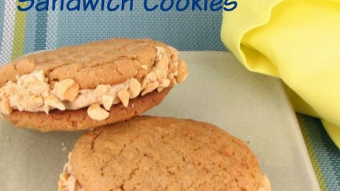 Branded Peanut Butter Cookie Mix – Makes 12x 2-Inch Cookies – 7.2 Oz – Kosher – USA Made