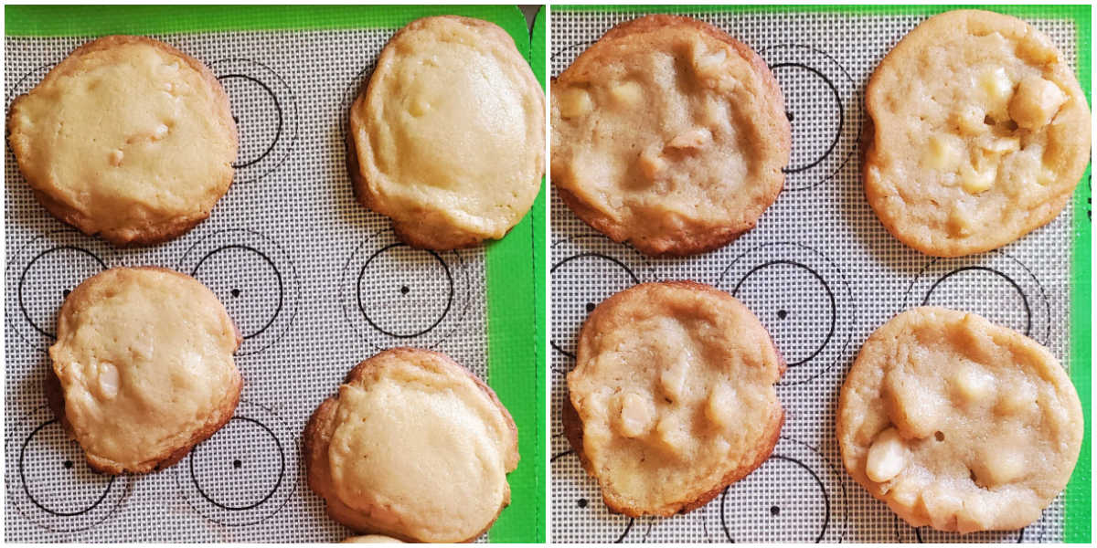 A collage with macadamia nut cookies fresh from the oven and cooled cookies.