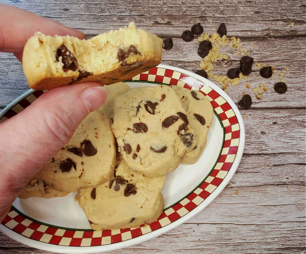 Let's taste the cookies A woman's hand holding partly eaten chocolate chip shortbread cookies.