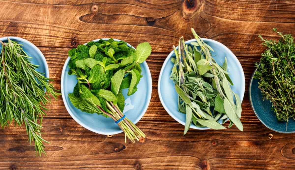 Bundles of fresh herbs for cooking A wooden table with four light blue bowls filled with bundles of fresh herbs for cooking, from left to right they are rosemary, mint, sage and thyme.